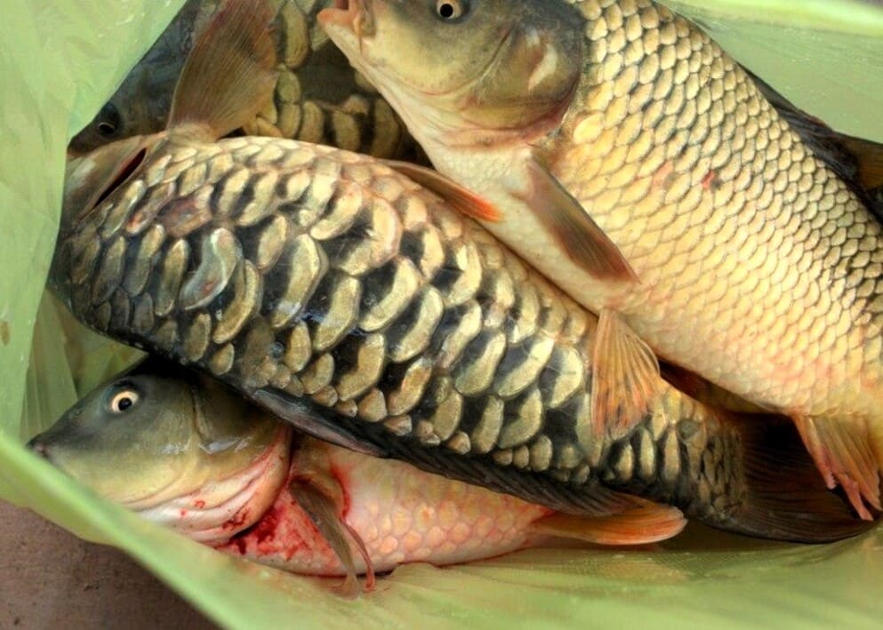 Продажа офиса  